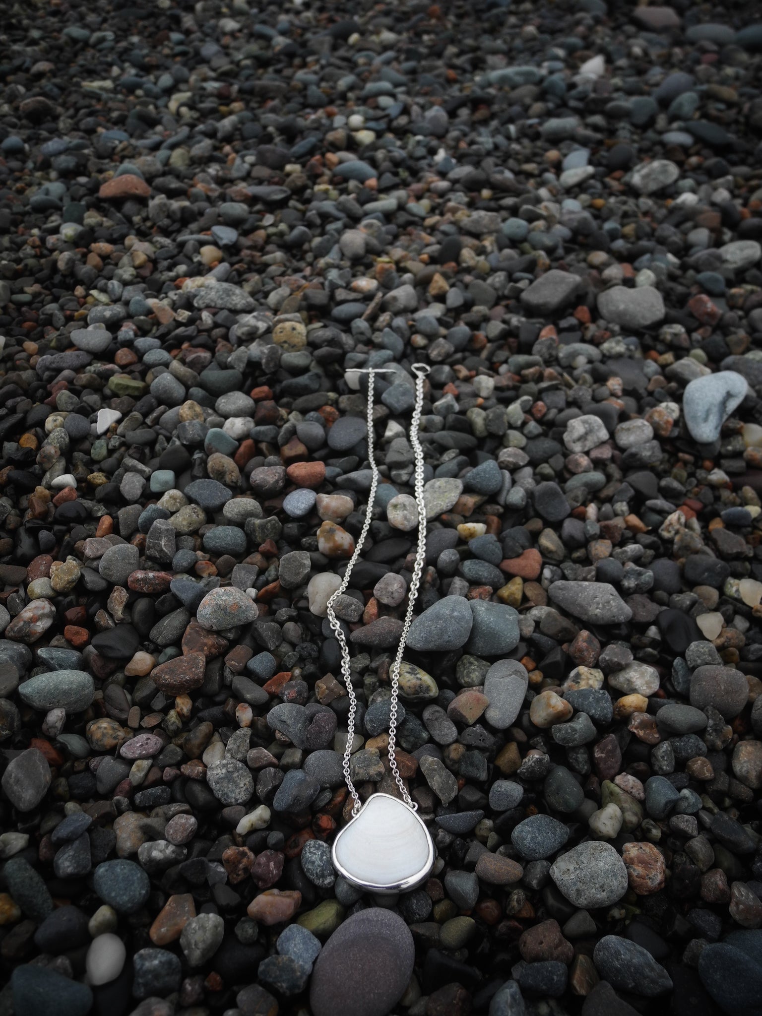 Little Clamshell Necklace