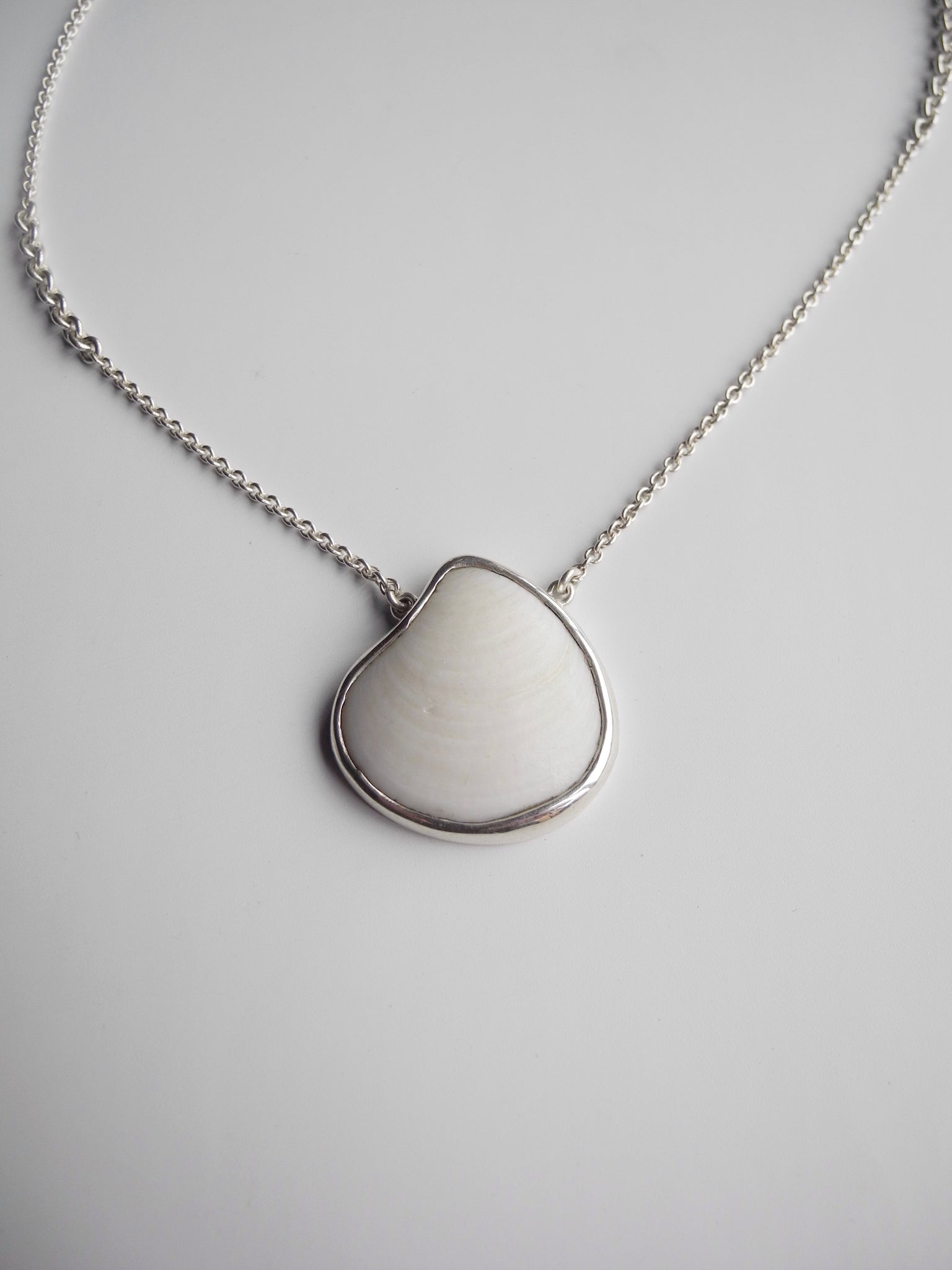 Little Clamshell Necklace